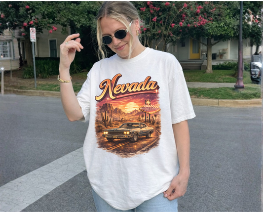 Nevada Desert Night Drive